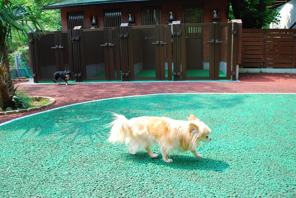 Ryokan Okumizuma Onsen
